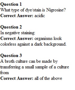 Pre-Lab Quiz 2